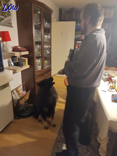 5.12.2024 - Ich will meine Krampussachen